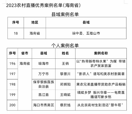 凯时k66昌江县域私人电商直播案例入选宇宙2023乡村直播电